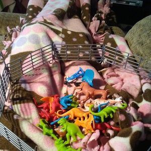 Meet your Posher, Doralee